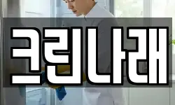 크린나래