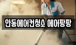 안동에어컨청소 에어팡팡