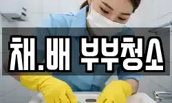 채.배 부부청소