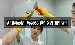 고려유품정리 특수청소 촌집정리 폐업철거