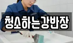 경상북도 안동시 천리동 청소,입주청소,사무실청소,에어컨청소