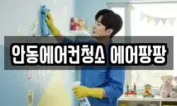 안동에어컨청소 에어팡팡