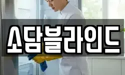 소담블라인드