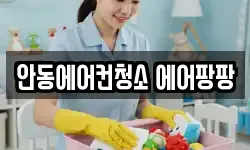 안동에어컨청소 에어팡팡