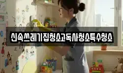 신속쓰레기집청소고독사청소특수청소
