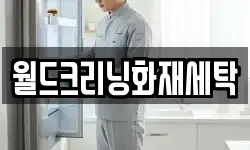 월드크리닝화재세탁