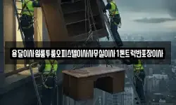 용달이사원룸투룸오피스텔이사사무실이사1톤트럭반포장이사