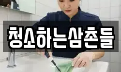 청소하는삼촌들