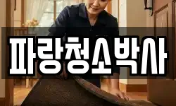 파랑청소박사