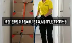 경상북도 영양군 일월면 이사,용달이사,포장이사,원룸이사,보관이사