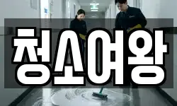 청소여왕