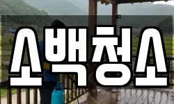 소백청소
