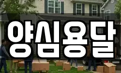 양심용달