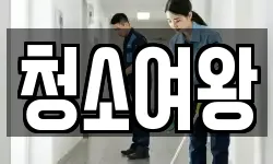 청소여왕