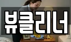뷰클리너