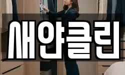새얀클린
