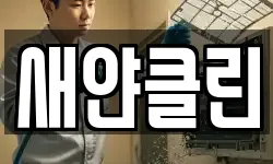 새얀클린