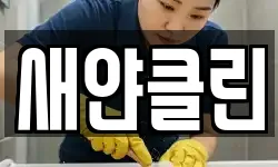 새얀클린
