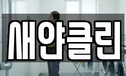 새얀클린