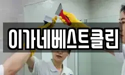 이가네베스트클린