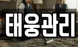 태웅관리