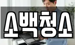 소백청소