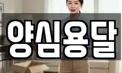 양심용달