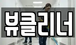 뷰클리너