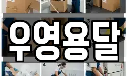 우영용달