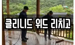클리니드 위드 리치고