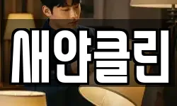 새얀클린