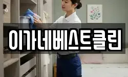 이가네베스트클린
