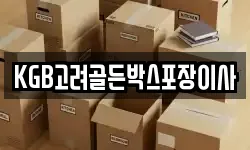 KGB고려골든박스포장이사