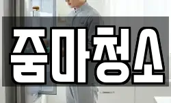 줌마청소