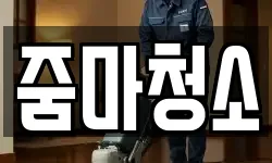 줌마청소