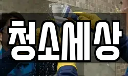 경상북도 영천시 교촌동 청소,입주청소,사무실청소,에어컨청소