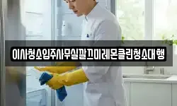 이사청소입주사무실깔끄미레몬클린청소대행
