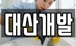 대산개발