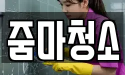 줌마청소
