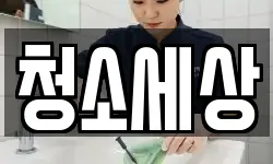 청소세상