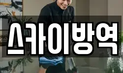 스카이방역