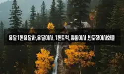 경상북도 영천시 서산동 이사,용달이사,포장이사,원룸이사,보관이사