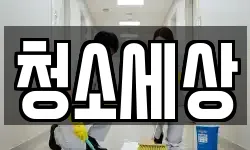 청소세상