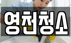영천청소
