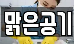 맑은공기