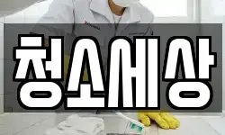 청소세상