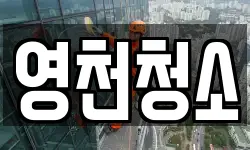 영천청소