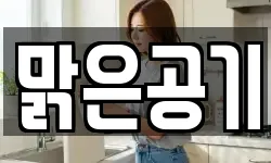 맑은공기