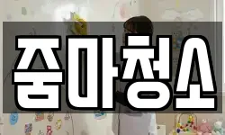 줌마청소