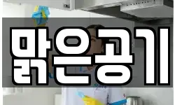 맑은공기